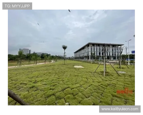 K8体育娱乐全面解析：打造专业化多元化体育娱乐平台的优势与未来发展趋势